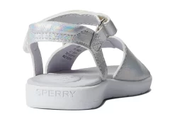 Sperry Kids Galley Plushwave (Toddler) 10 Sperry Kids Galley Plushwave (Toddler) -Sperry 614Ve SrIpL